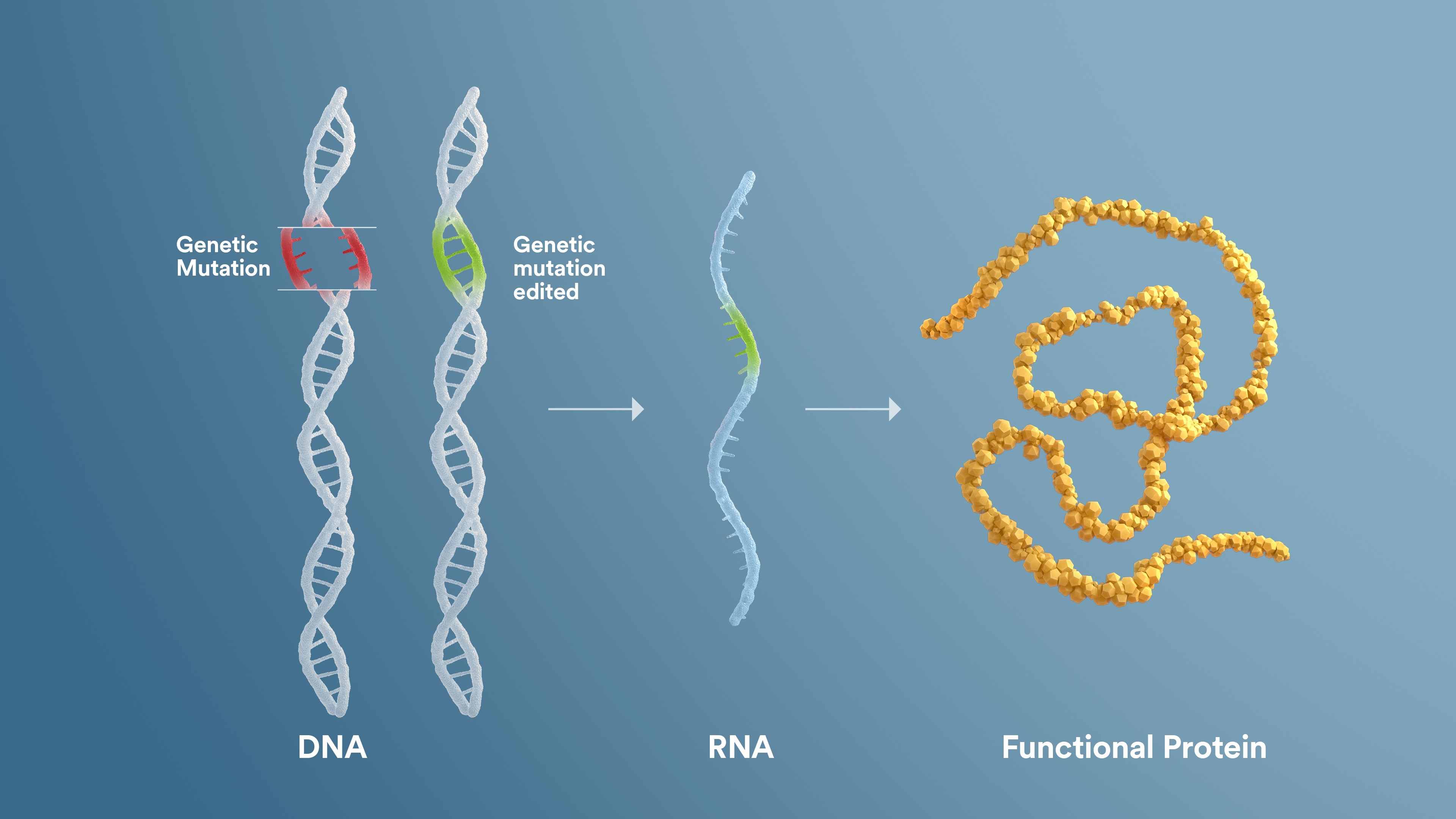 Complete Gene Insertion: The Promise Of Advanced Gene Editing Technology Complete Gene Insertion: The Promise Of Advanced Gene Editing Technology