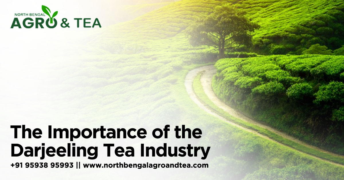 Concerns Mount Over Darjeeling's Tea Industry Concerns Mount Over Darjeeling's Tea Industry
