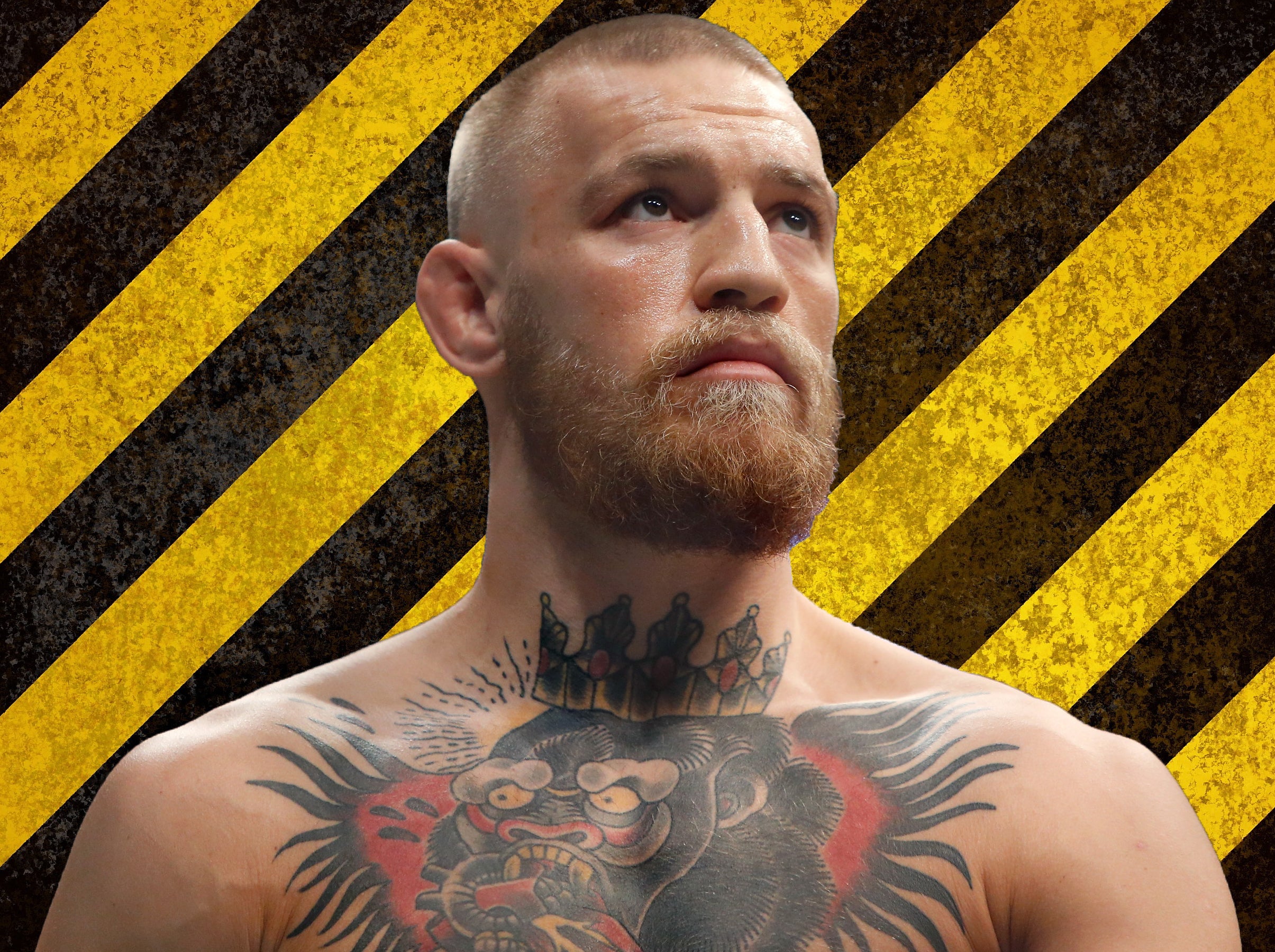 Conor McGregor's Sparring Partner Knocked Out: The UFC Bogeyman's Epic Streak Conor McGregor's Sparring Partner Knocked Out: The UFC Bogeyman's Epic Streak