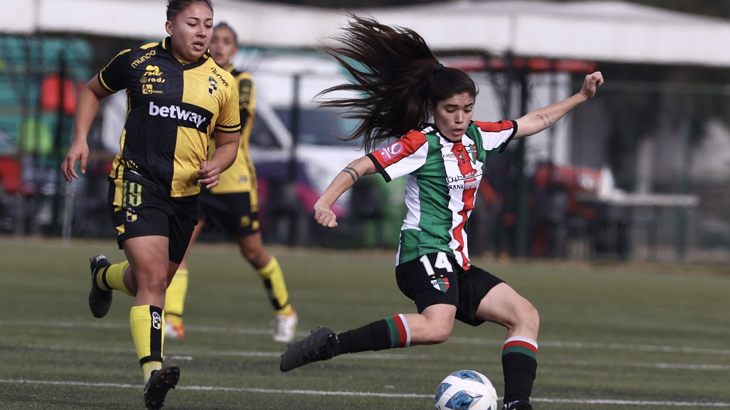 Coquimbo Unido Y Everton Viña Empatan A Cero: Análisis Del Partido Coquimbo Unido Y Everton Viña Empatan A Cero: Análisis Del Partido