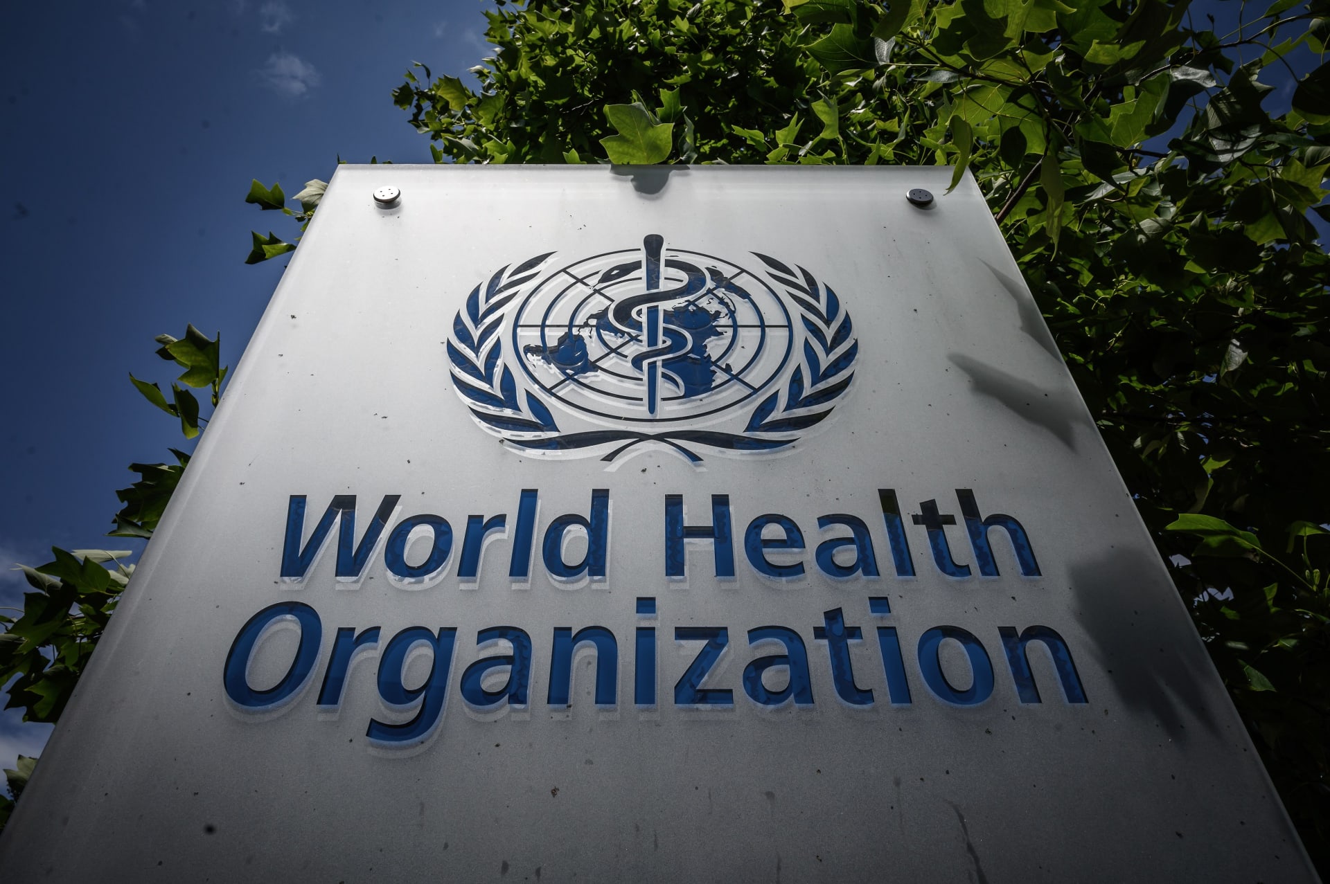 COVID-19 Update: World Health Organization Links New Variant To Increased Cases COVID-19 Update: World Health Organization Links New Variant To Increased Cases
