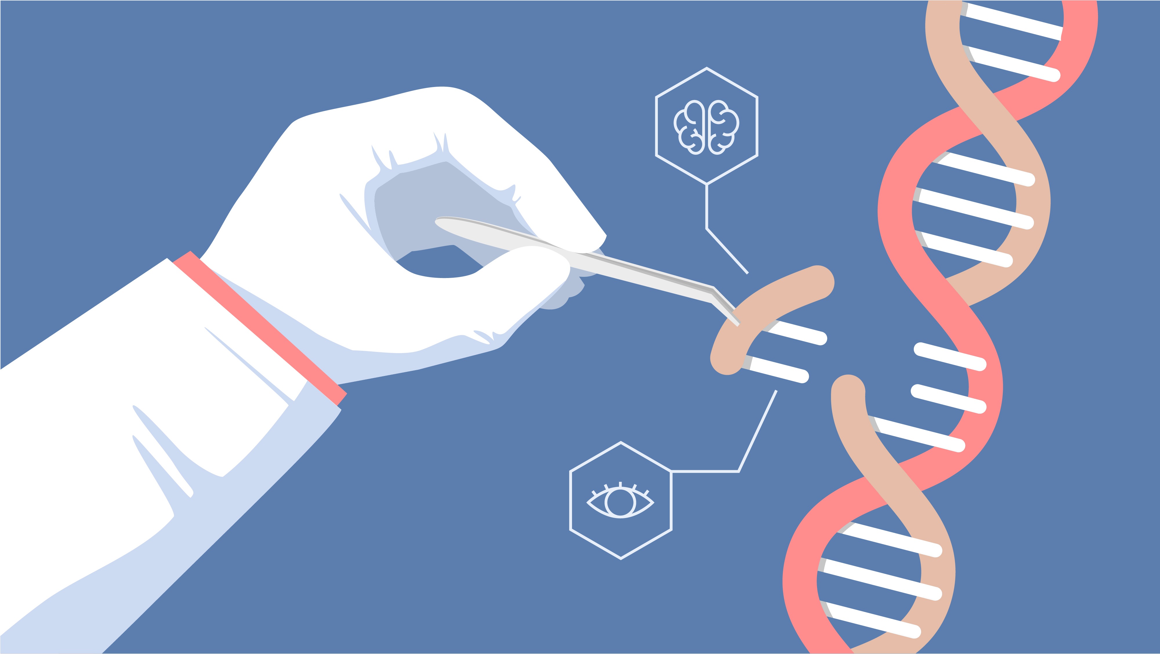 CRISPR Gene Editing: Enhanced Accuracy And Efficacy Through Novel Modification CRISPR Gene Editing: Enhanced Accuracy And Efficacy Through Novel Modification