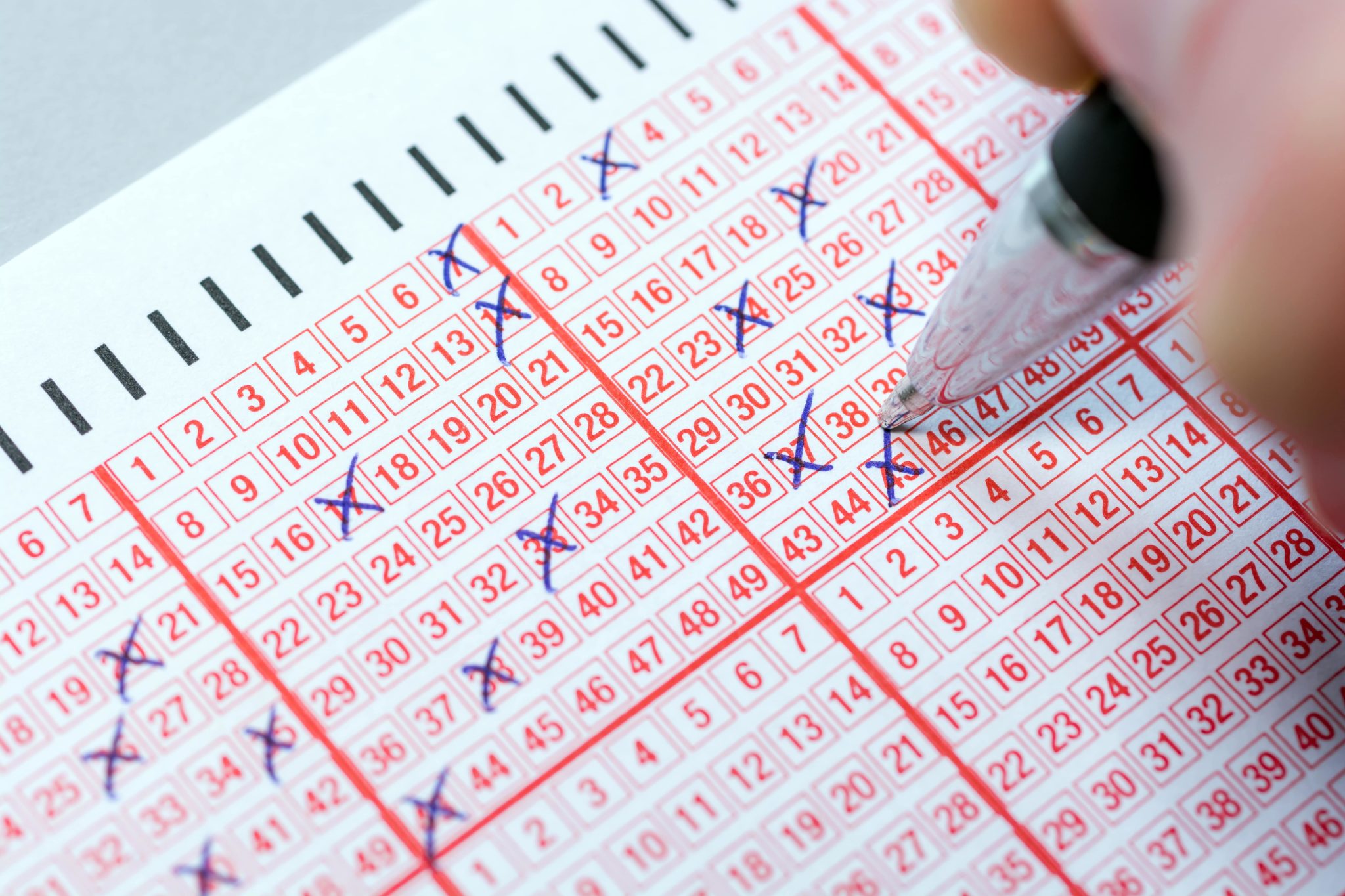 Daily Lotto Results: Thursday, April 17, 2025 Daily Lotto Results: Thursday, April 17, 2025