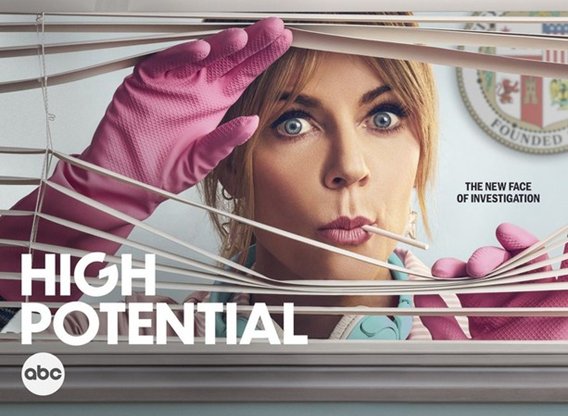 David In High Potential Episode 13: Casting And Character Analysis David In High Potential Episode 13: Casting And Character Analysis