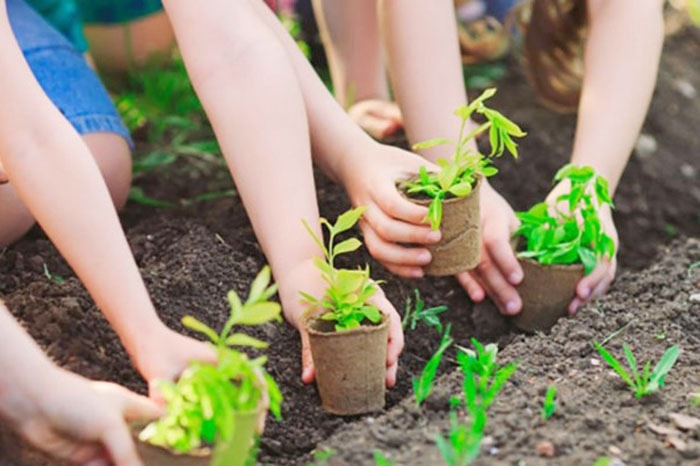 Đề Xuất Giải Pháp Sau Vụ Bảo Mẫu Tát Trẻ Ở Tiền Giang: Bảo Vệ Trẻ Em Hiệu Quả Hơn Đề Xuất Giải Pháp Sau Vụ Bảo Mẫu Tát Trẻ Ở Tiền Giang: Bảo Vệ Trẻ Em Hiệu Quả Hơn