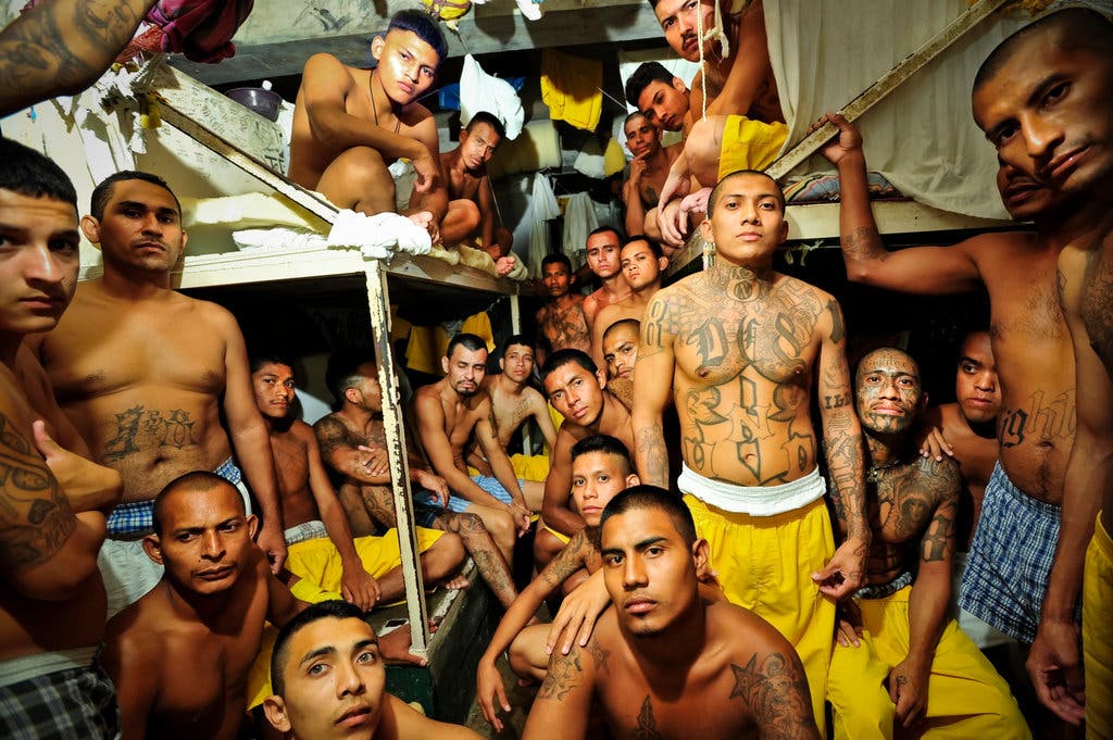 Debate Erupts: Jeanine Pirro's Views On Due Process For US Citizens In El Salvador Prisons Debate Erupts: Jeanine Pirro's Views On Due Process For US Citizens In El Salvador Prisons