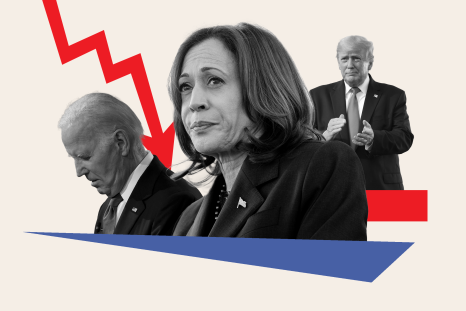 Democratic Insiders Criticize Kamala Harris' Post-Election Absence Democratic Insiders Criticize Kamala Harris' Post-Election Absence