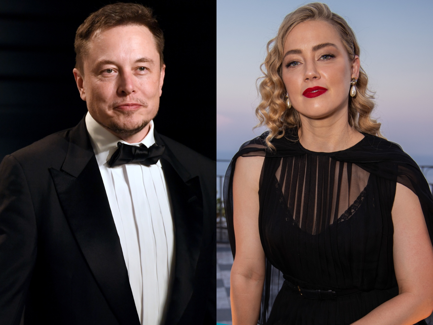 Did Elon Musk Father Amber Heard's Twins? A Look At The Evidence Did Elon Musk Father Amber Heard's Twins? A Look At The Evidence