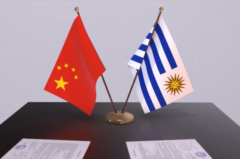 Diplomacia Ganadera: El Inusual Regalo De Uruguay A China Diplomacia Ganadera: El Inusual Regalo De Uruguay A China