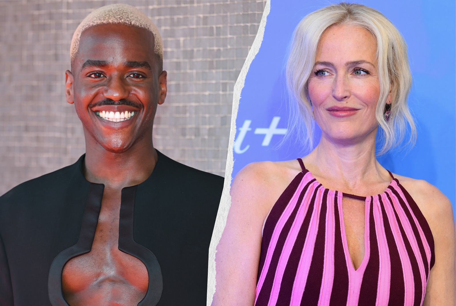 Doctor Who: Ncuti Gatwa Wants Gillian Anderson As Villain?