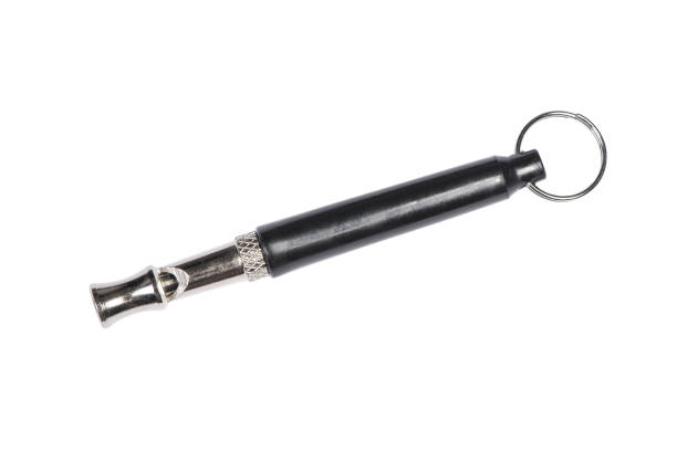Dog Whistle Or Fog Horn? Decoding Rupert Lowe's Communication Strategy On X For Reform UK Dog Whistle Or Fog Horn? Decoding Rupert Lowe's Communication Strategy On X For Reform UK