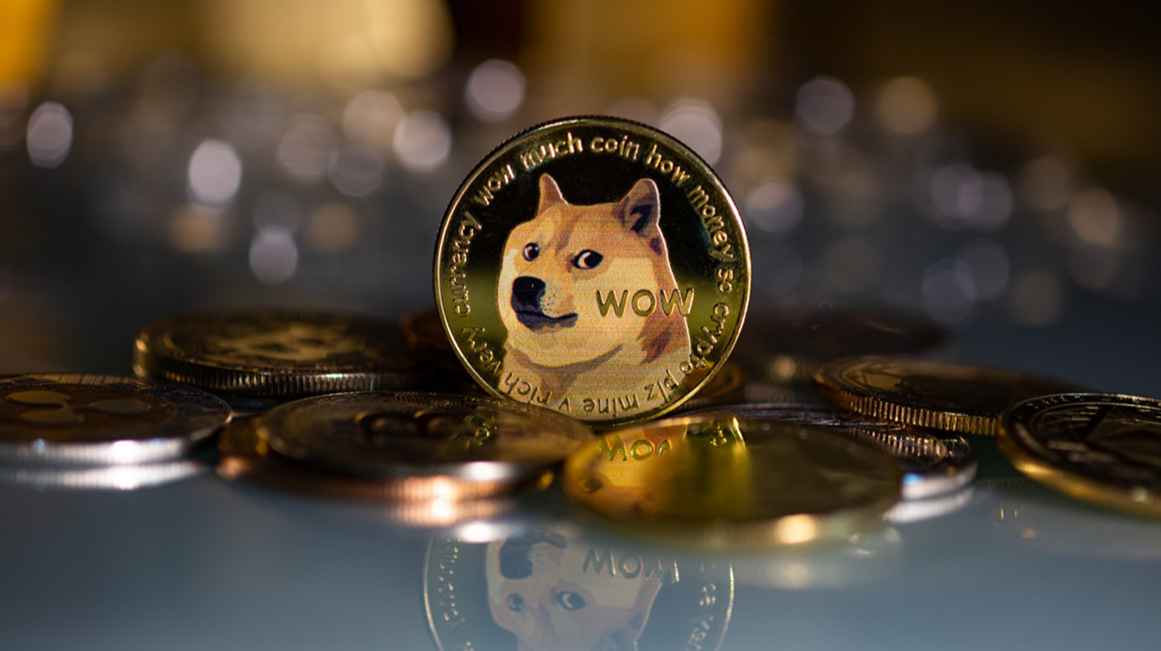Dogecoin, Shiba Inu, And Sui Price Surge: Understanding This Week's Rally Dogecoin, Shiba Inu, And Sui Price Surge: Understanding This Week's Rally