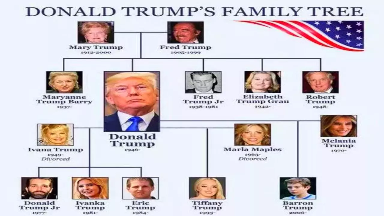 Donald Trump's Family Tree: A Detailed Overview Of His Descendants And Ancestors Donald Trump's Family Tree: A Detailed Overview Of His Descendants And Ancestors
