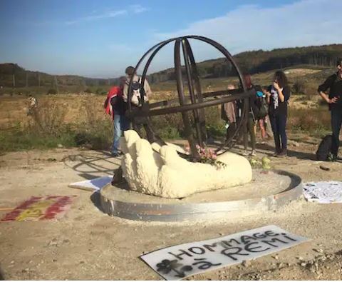 Droits Pour Le Vivant : Le Combat Pour La Justice Des Étoiles De Mer Droits Pour Le Vivant : Le Combat Pour La Justice Des Étoiles De Mer