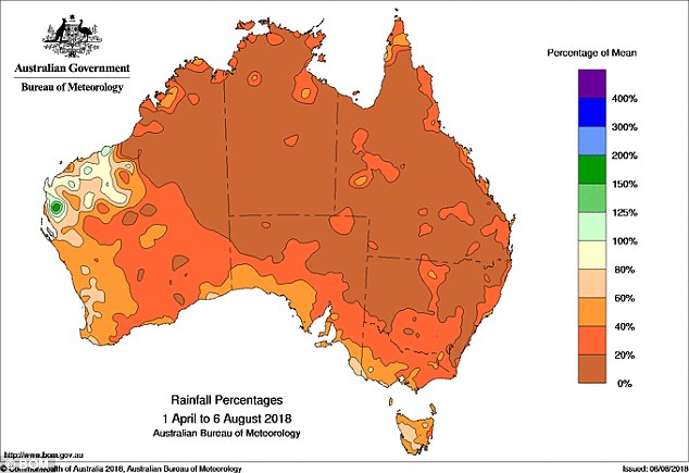 Drought In South Australia: The Growing Pressure From Kangaroos Drought In South Australia: The Growing Pressure From Kangaroos