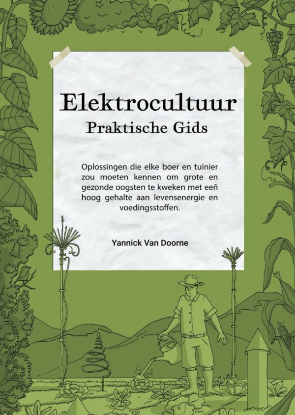 Een Praktische Gids Voor Tikkie: Betalingen In Nederland Een Praktische Gids Voor Tikkie: Betalingen In Nederland