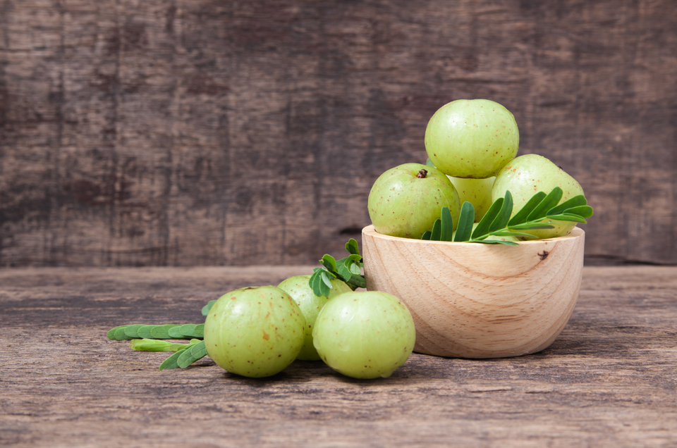Effective Natural Remedies For Women's Bladder Control: Primera Effective Natural Remedies For Women's Bladder Control: Primera