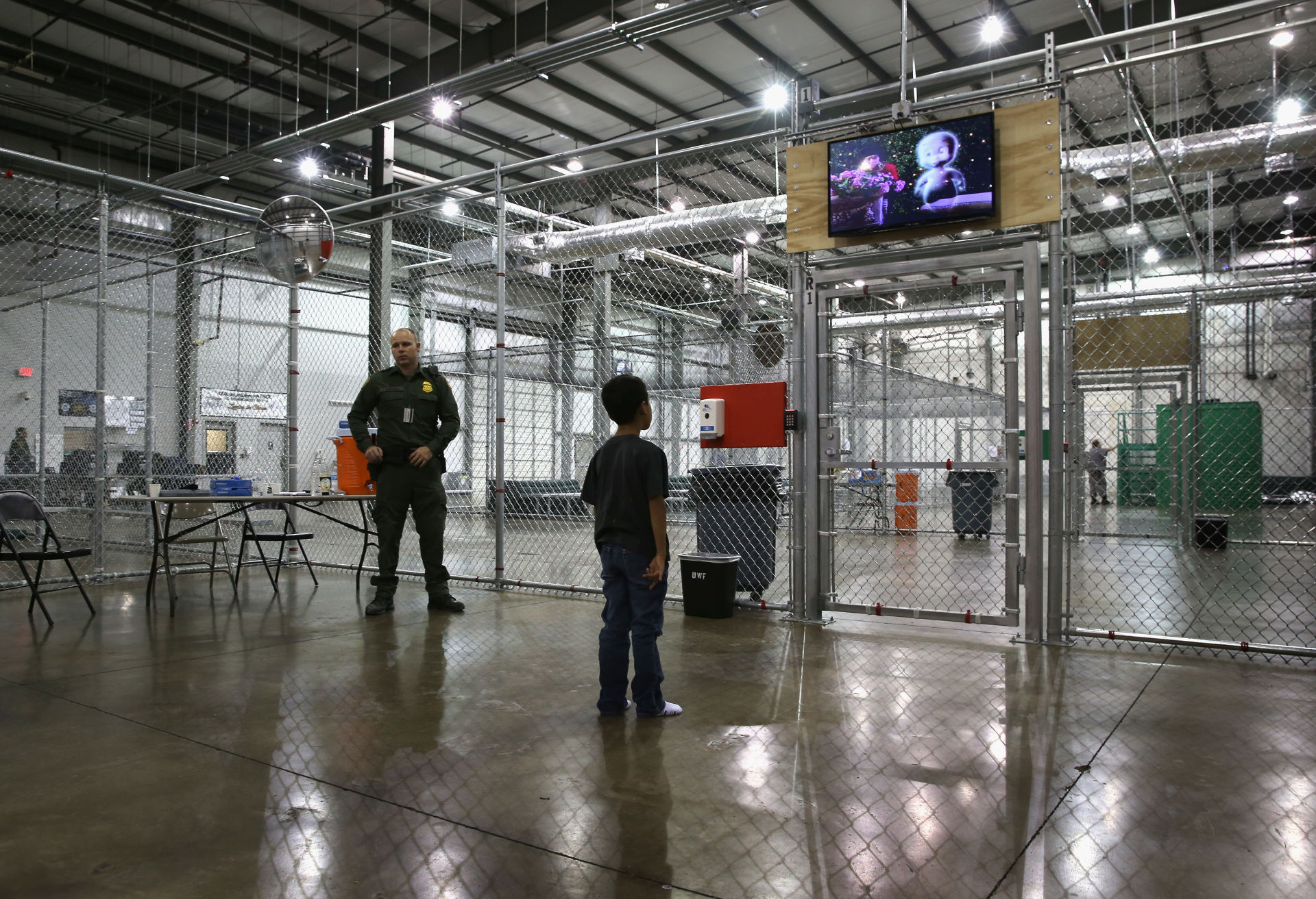 Eight Hours In A Tree: A Migrant's Escape From ICE Detention Eight Hours In A Tree: A Migrant's Escape From ICE Detention
