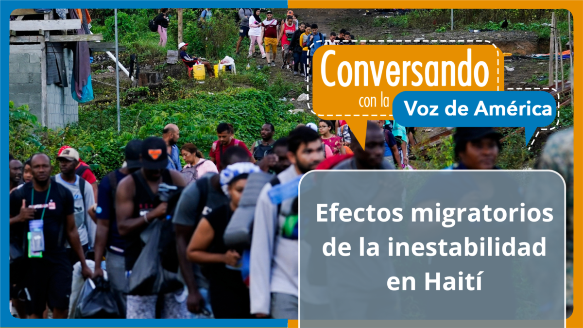 El Sociólogo Danny Shaw Destaca La Gravedad De La Crisis Haitiana Y La Falta De Apoyo De Trump El Sociólogo Danny Shaw Destaca La Gravedad De La Crisis Haitiana Y La Falta De Apoyo De Trump