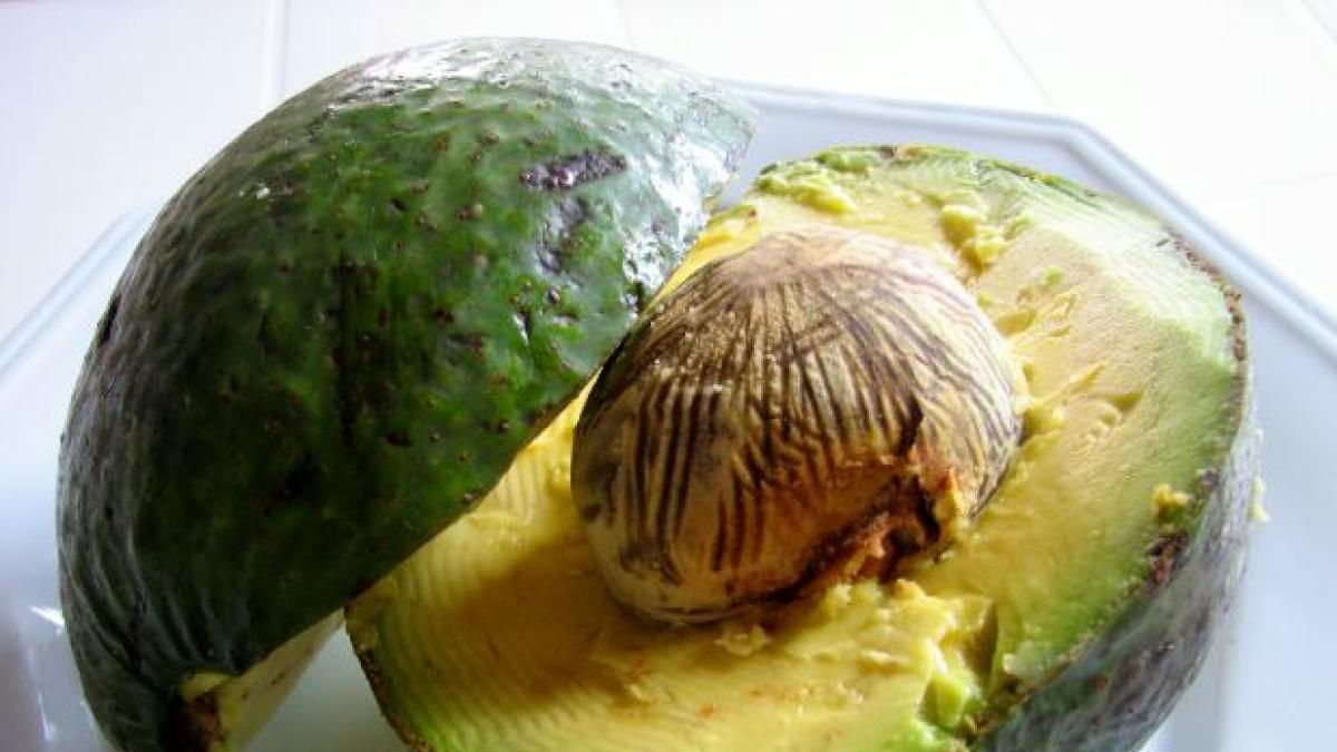 El Superalimento Que Combate Las Enfermedades Crónicas Y Promueve El Envejecimiento Saludable: Más Allá Del Arándano El Superalimento Que Combate Las Enfermedades Crónicas Y Promueve El Envejecimiento Saludable: Más Allá Del Arándano