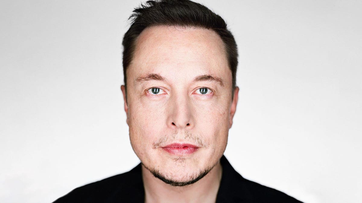 Elon Musk Wealth Jumps Billions: Tesla Rally Post-DOGE CEO Step-Back Elon Musk Wealth Jumps Billions: Tesla Rally Post-DOGE CEO Step-Back