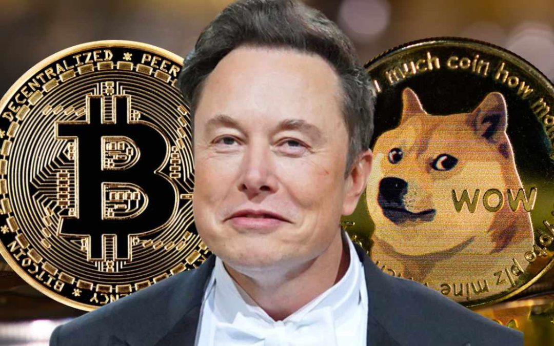 Elon Musk's Dogecoin Involvement: A Comprehensive Analysis Elon Musk's Dogecoin Involvement: A Comprehensive Analysis