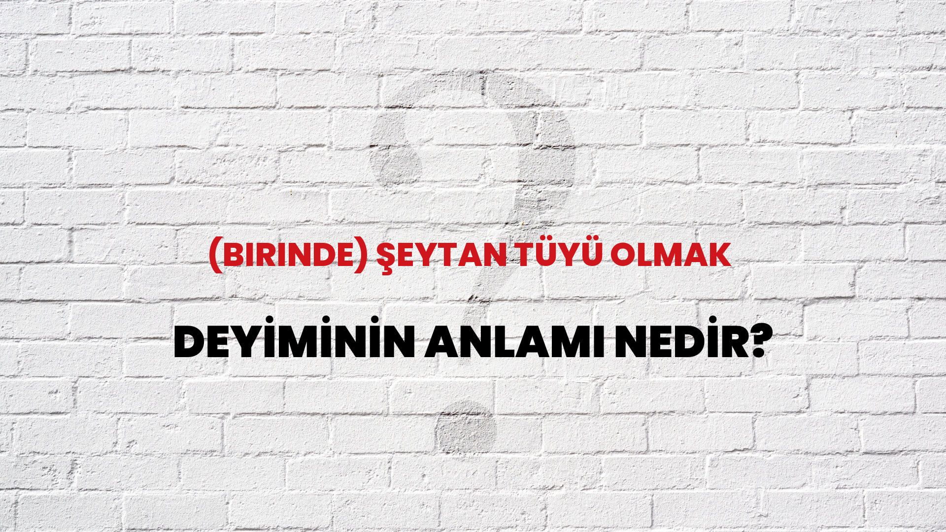 En Çekici Burçlar: Şeytan Tüyü Etkisi Ve Özellikleri En Çekici Burçlar: Şeytan Tüyü Etkisi Ve Özellikleri