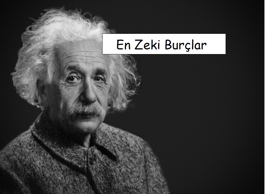 En Zeki Burçlar: Dahilik Genleri Ve Özellikleri En Zeki Burçlar: Dahilik Genleri Ve Özellikleri