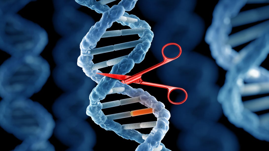 Enabling Precise Gene Insertion: Advances In Gene Editing Technology Enabling Precise Gene Insertion: Advances In Gene Editing Technology