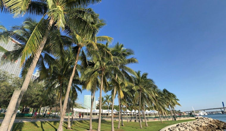Enjoying Breezy And Mild Days: Tips And Activities Enjoying Breezy And Mild Days: Tips And Activities