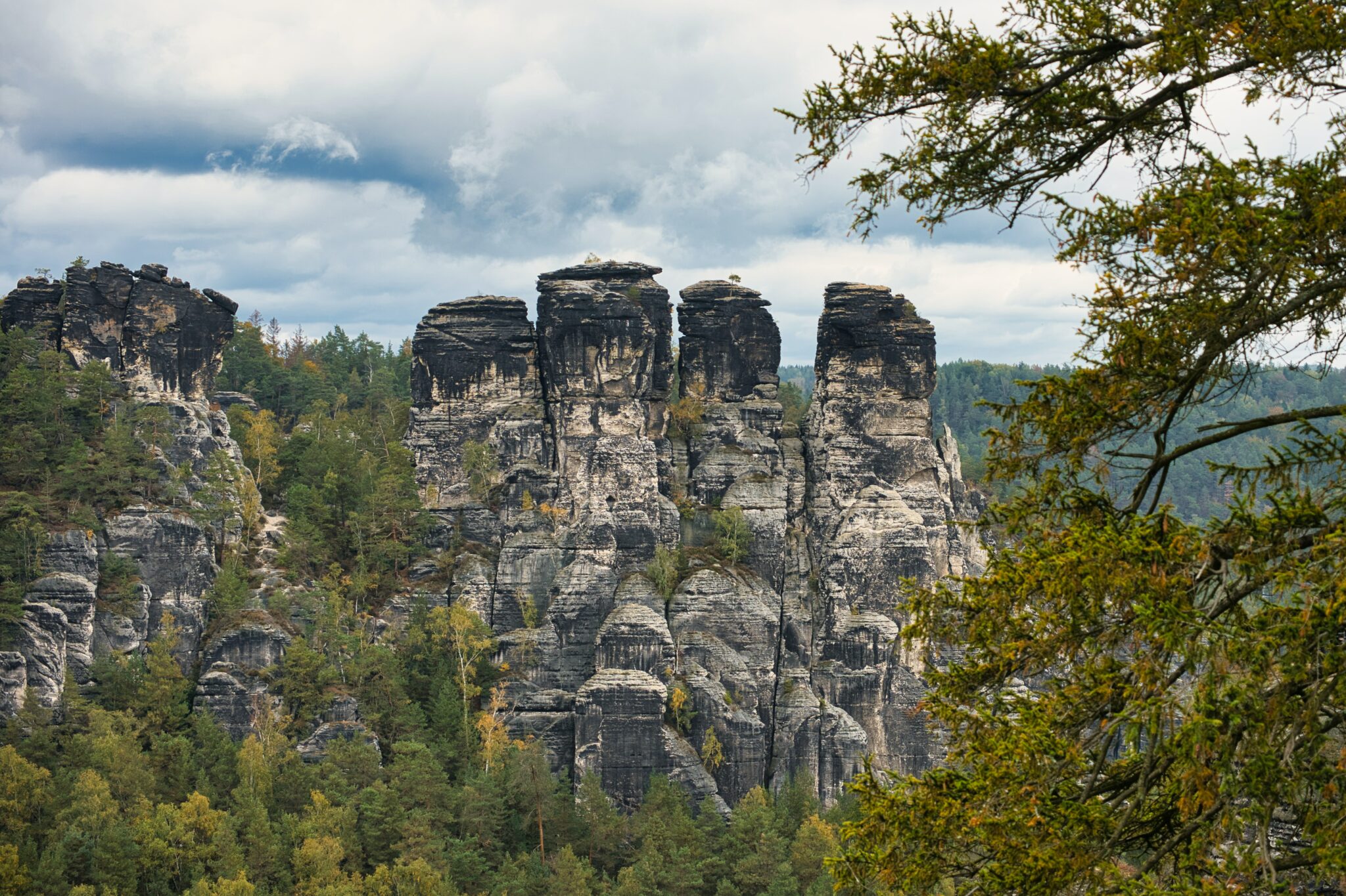 Erfolgreicher Naturschutz: 190.000 Neue Bäume Im Nationalpark Sächsische Schweiz Erfolgreicher Naturschutz: 190.000 Neue Bäume Im Nationalpark Sächsische Schweiz