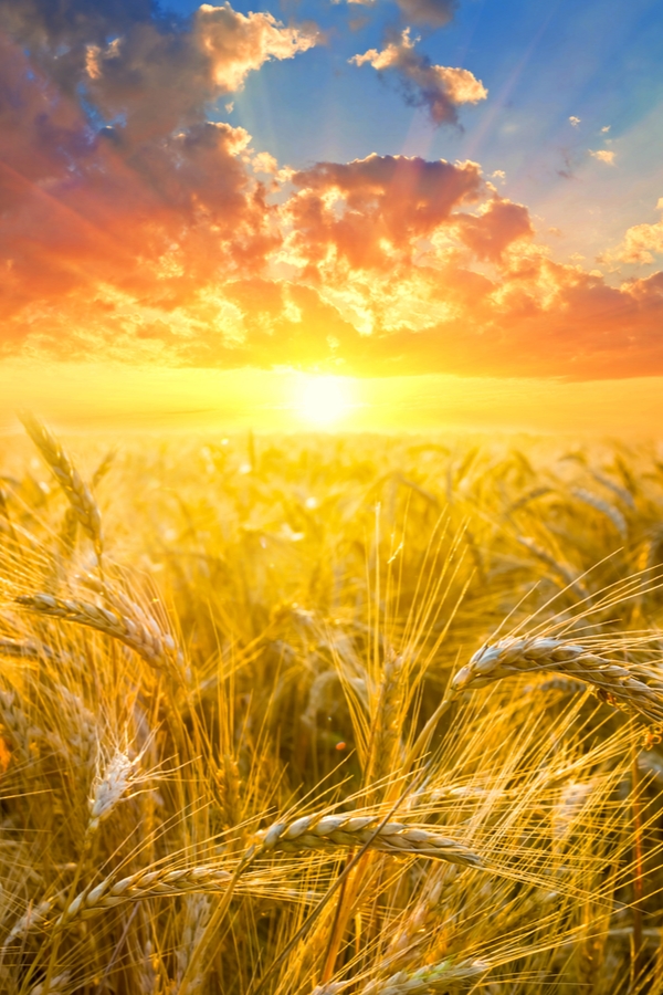 Escape To The Country: The Costs And Benefits Of Rural Living Escape To The Country: The Costs And Benefits Of Rural Living