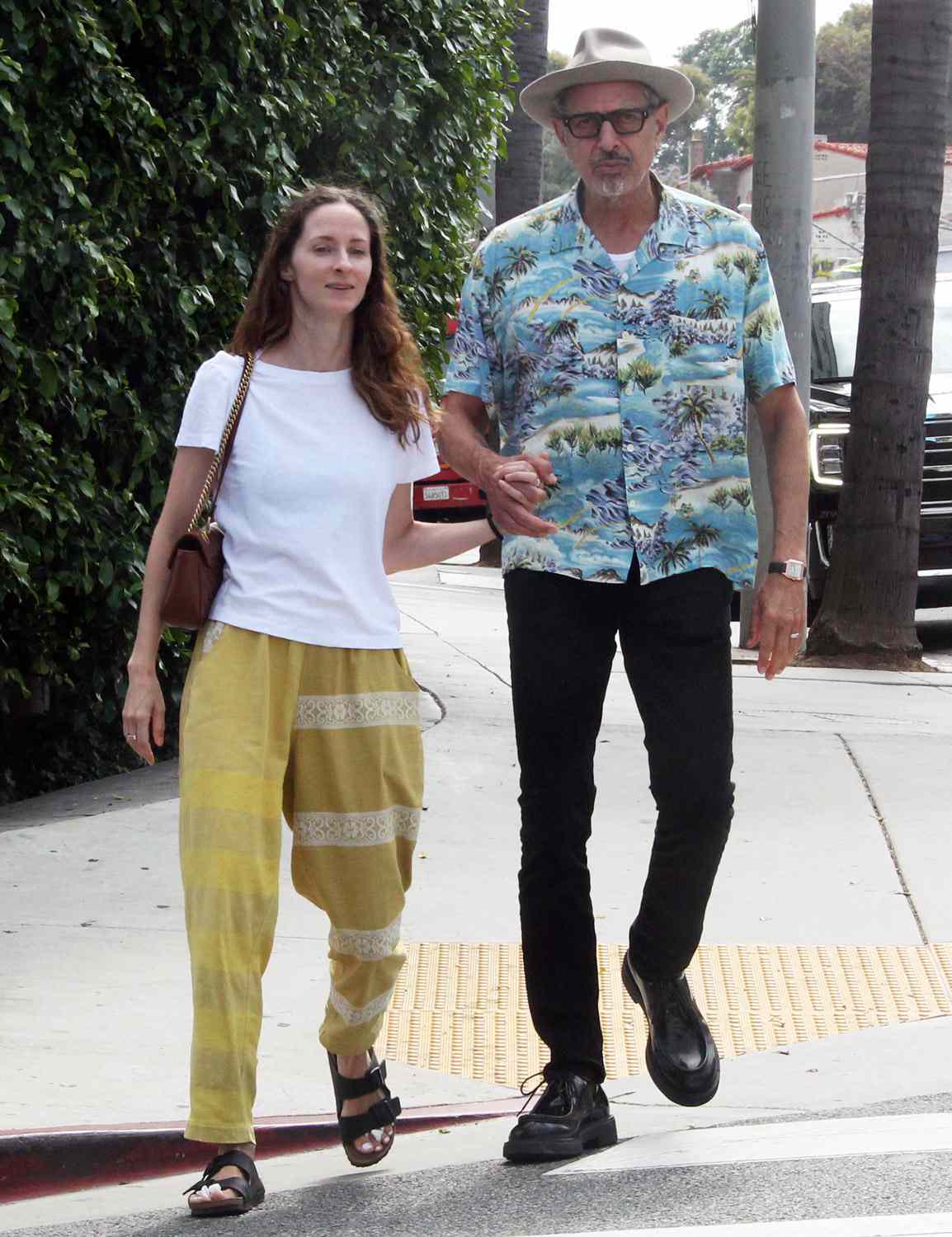 Exploring The Life Of Emilie Livingston: Jeff Goldblum's Spouse And Children Exploring The Life Of Emilie Livingston: Jeff Goldblum's Spouse And Children