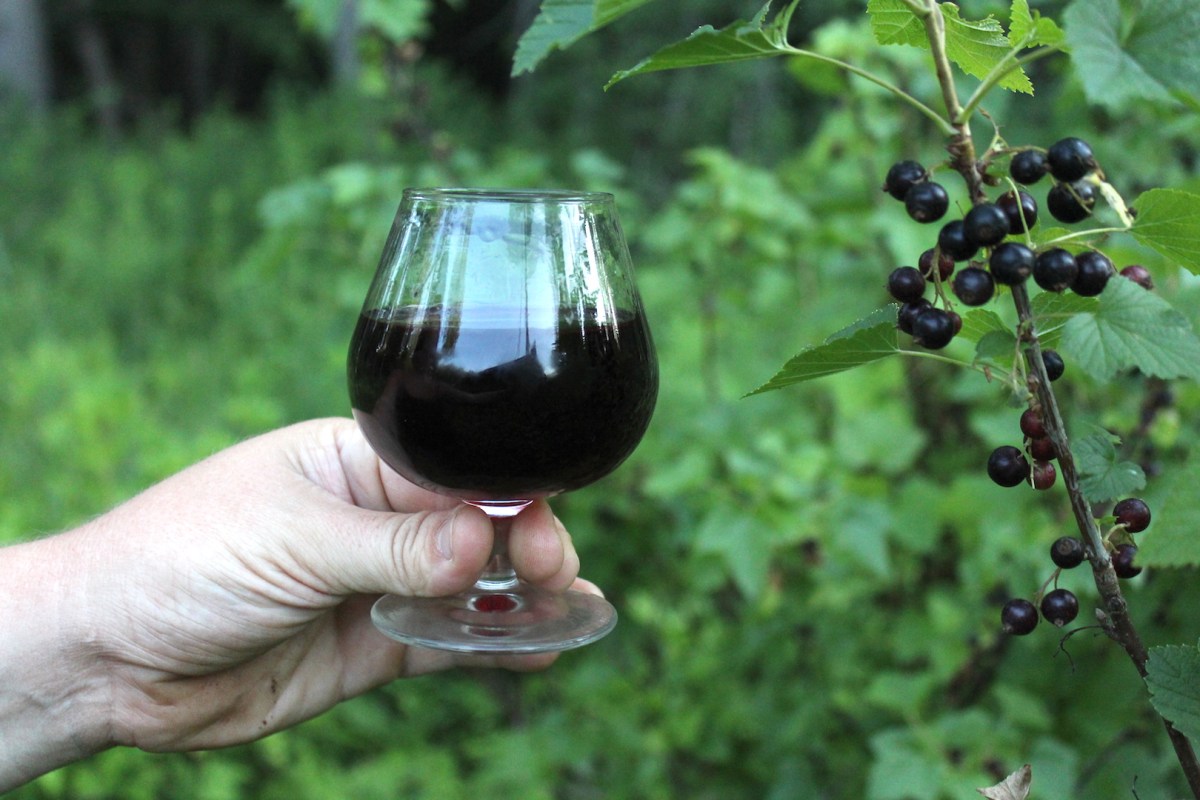 Exploring The Rich Flavors Of Cassis Blackcurrant Liqueur Exploring The Rich Flavors Of Cassis Blackcurrant Liqueur