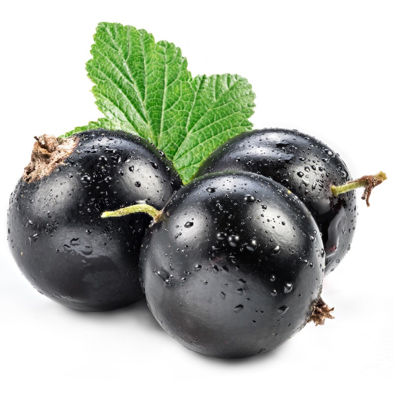 Exploring The Richness Of Cassis Blackcurrant: From Berry To Bottle Exploring The Richness Of Cassis Blackcurrant: From Berry To Bottle