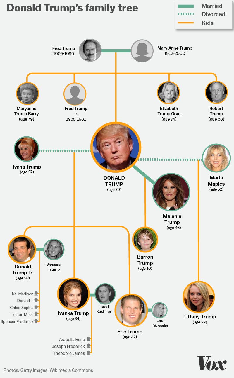 Exploring The Trump Family Tree: An In-Depth Look At Donald Trump's Relatives Exploring The Trump Family Tree: An In-Depth Look At Donald Trump's Relatives