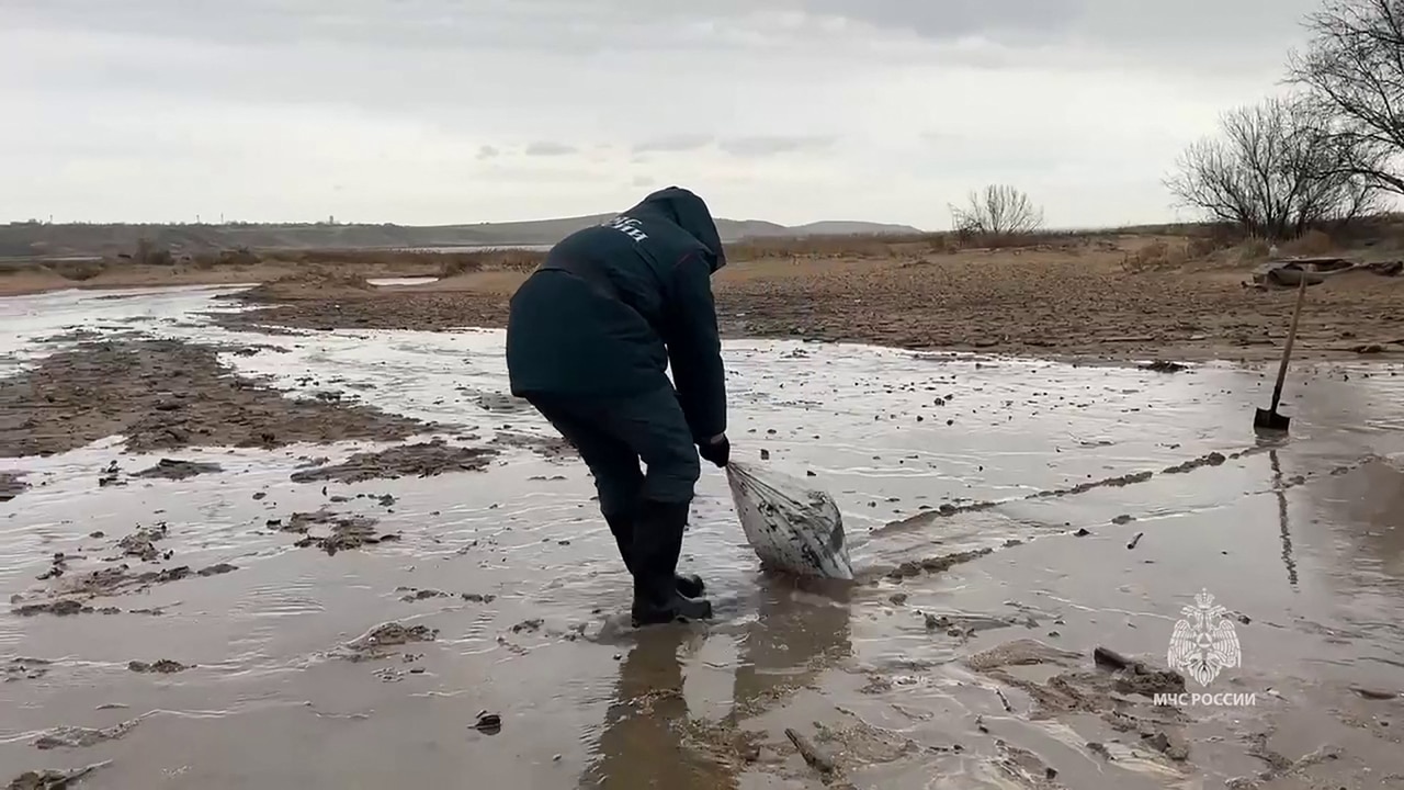 Extensive Black Sea Beach Closures In Russia After Oil Spill Incident