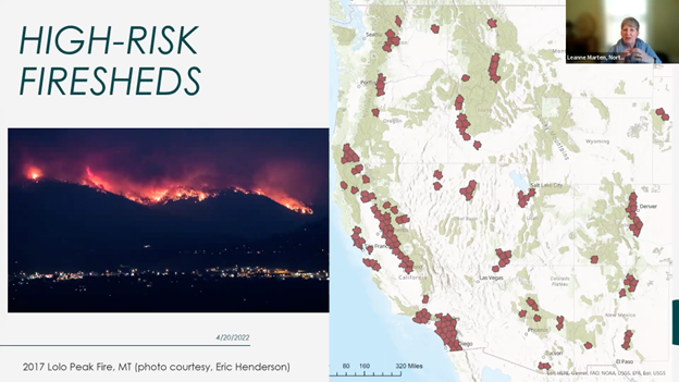 Extinction Threat: UK's Rare Wildlife And The Wildfire Crisis