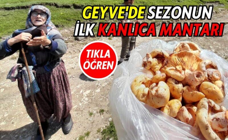 Fenerbahçe'de Sezonun İlk Ayrılığı: Tadic Yeni Takımına Transfer Oldu Fenerbahçe'de Sezonun İlk Ayrılığı: Tadic Yeni Takımına Transfer Oldu