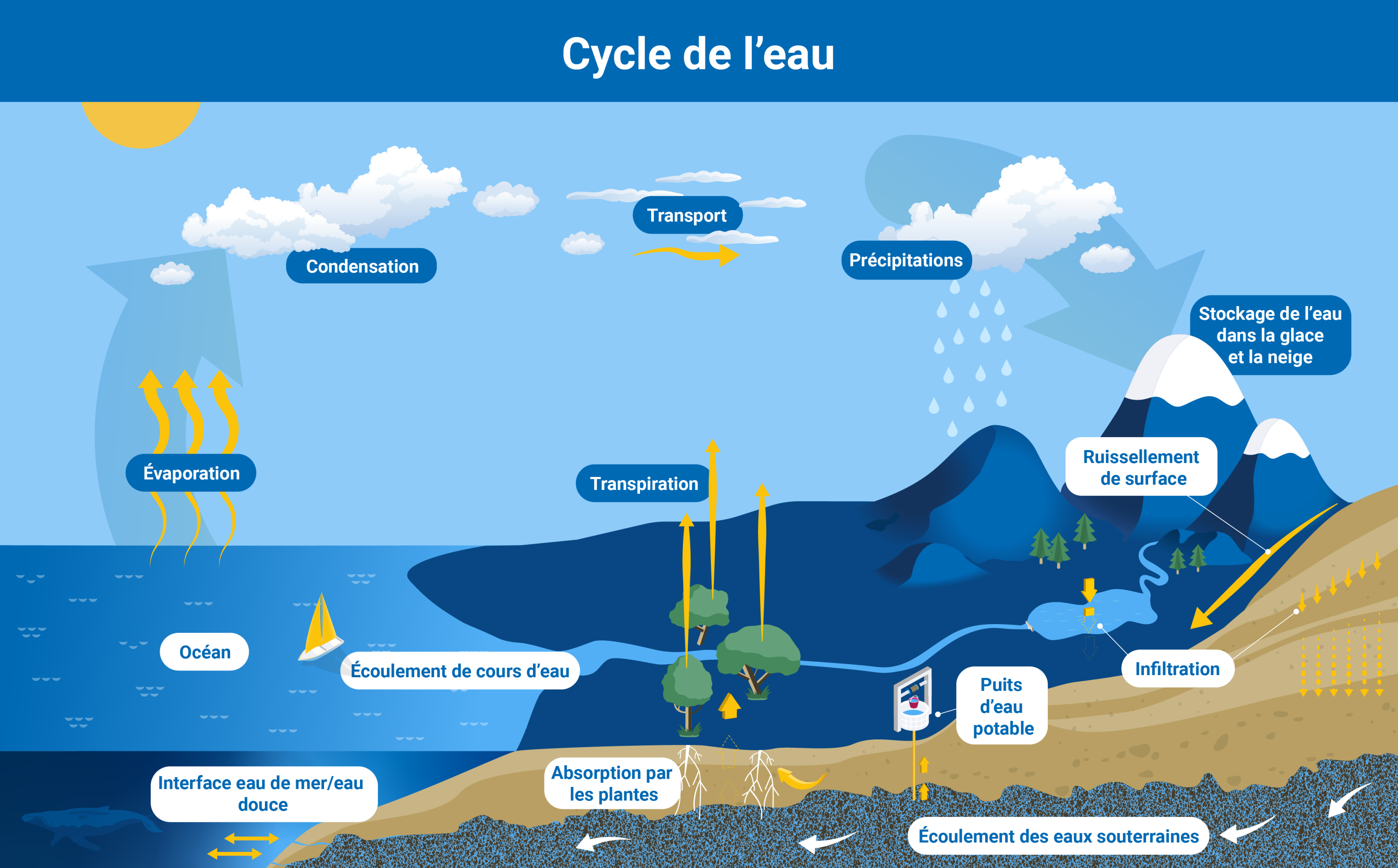 Filtration De L'eau Du Robinet : Comment Éliminer Les Polluants Et Améliorer La Qualité De L'eau Filtration De L'eau Du Robinet : Comment Éliminer Les Polluants Et Améliorer La Qualité De L'eau