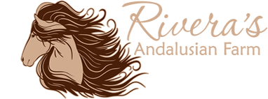 Find Tranquility: A Charming Andalusian Farm Stay Find Tranquility: A Charming Andalusian Farm Stay