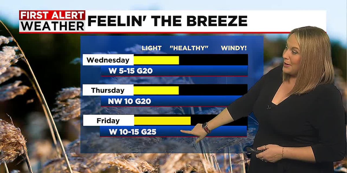 Finding Comfort In Breezy And Mild Conditions Finding Comfort In Breezy And Mild Conditions