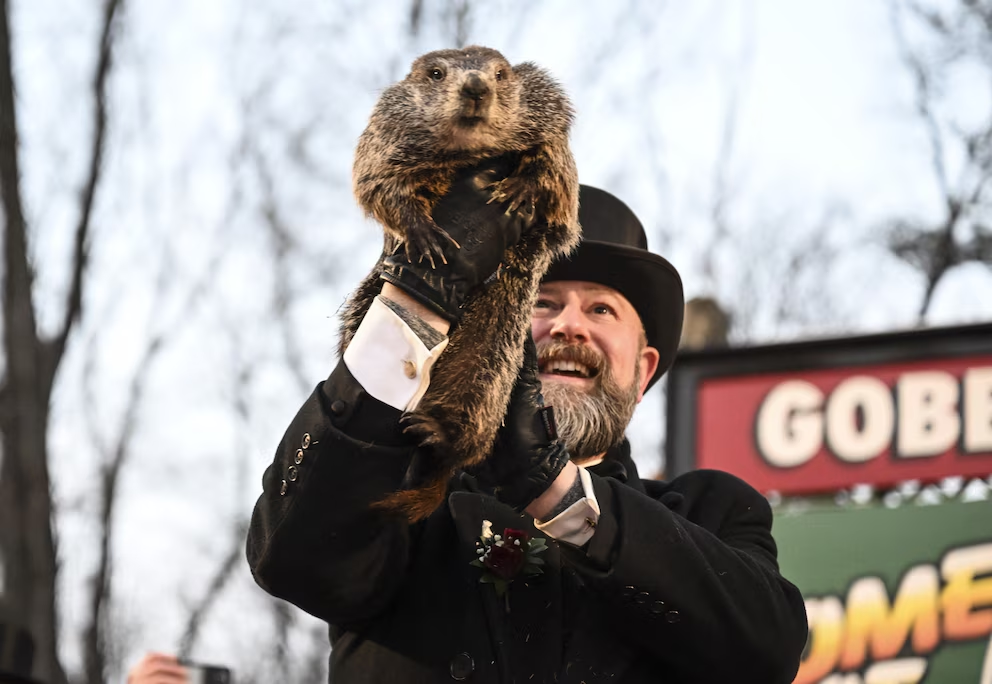 First Birthday Celebration For Punxsutawney Phil's Child First Birthday Celebration For Punxsutawney Phil's Child