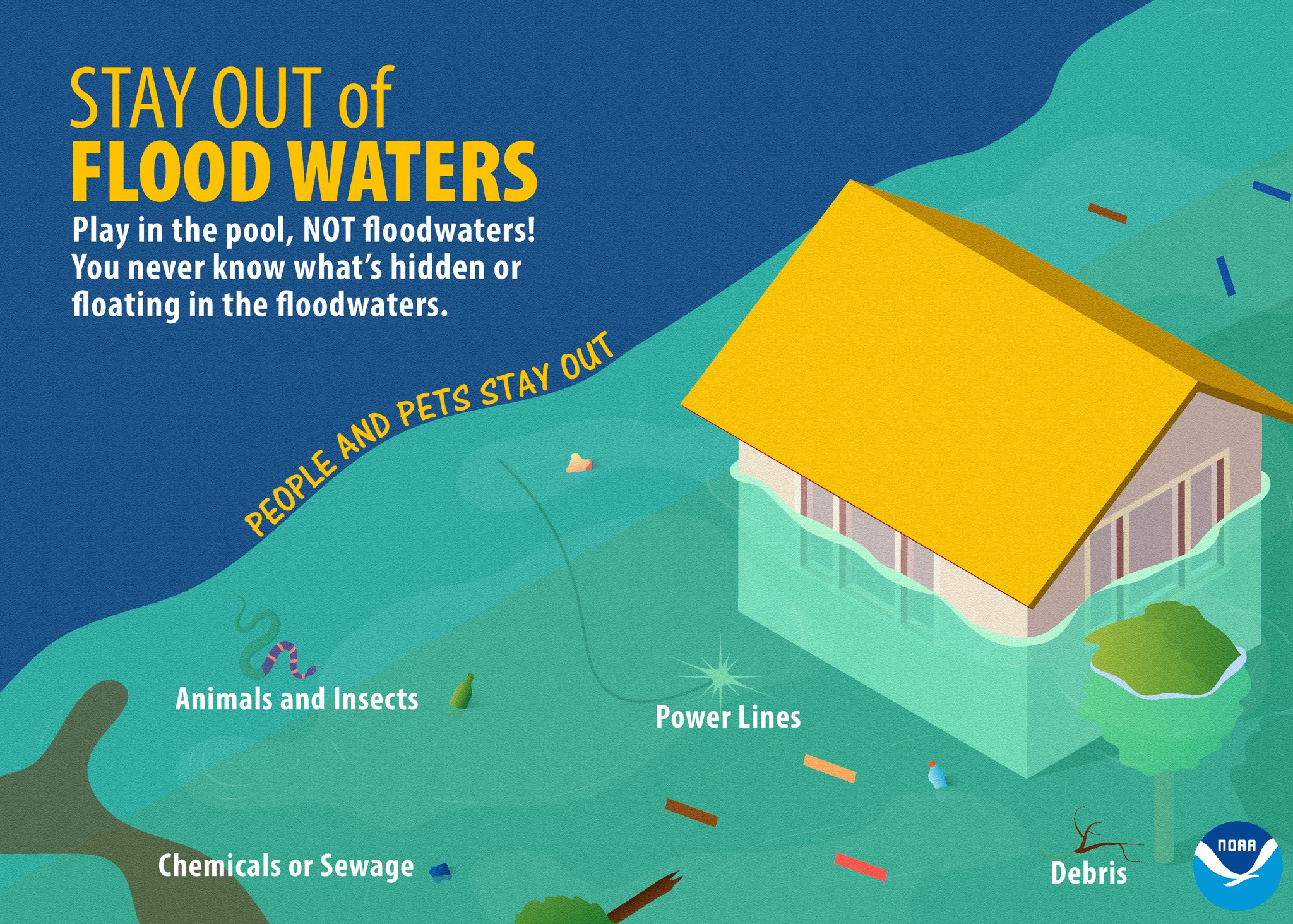 Flash Flood Emergency: What To Know And How To Stay Safe Flash Flood Emergency: What To Know And How To Stay Safe