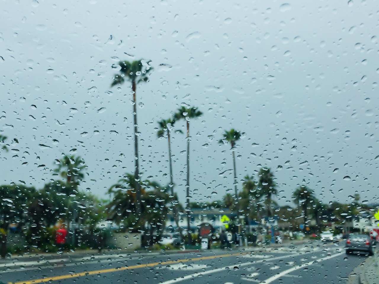 Fog, Cooler Weather, And Potential Rain In San Diego County Fog, Cooler Weather, And Potential Rain In San Diego County