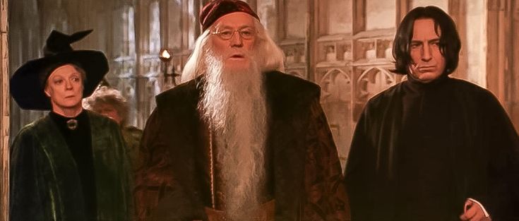 Forget Snape & Dumbledore: One Adult Harry Potter Character HBO Can't Mess Up Forget Snape & Dumbledore: One Adult Harry Potter Character HBO Can't Mess Up