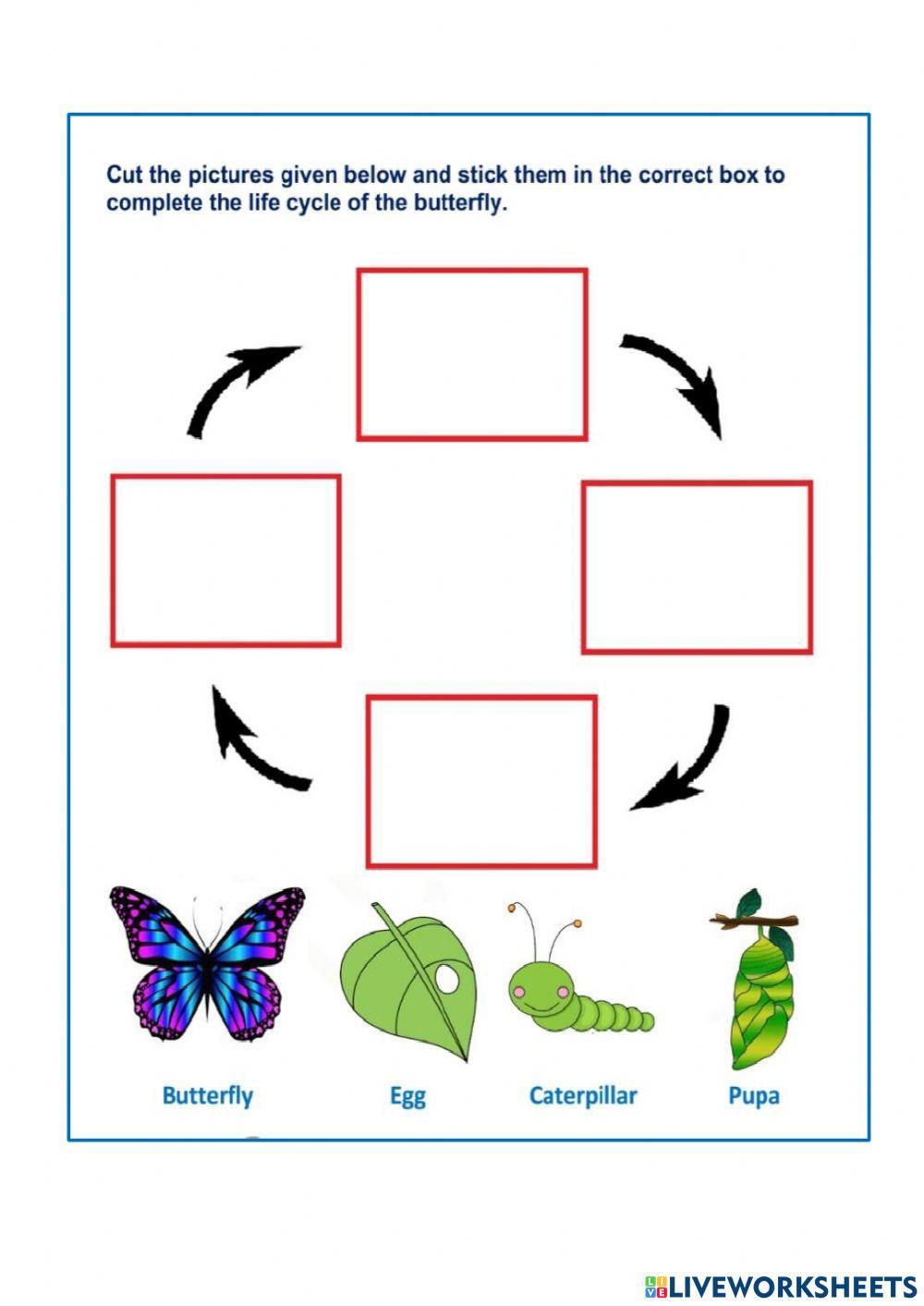 From Campus Farm To Classroom: Exploring Animal Life Cycles With Students From Campus Farm To Classroom: Exploring Animal Life Cycles With Students
