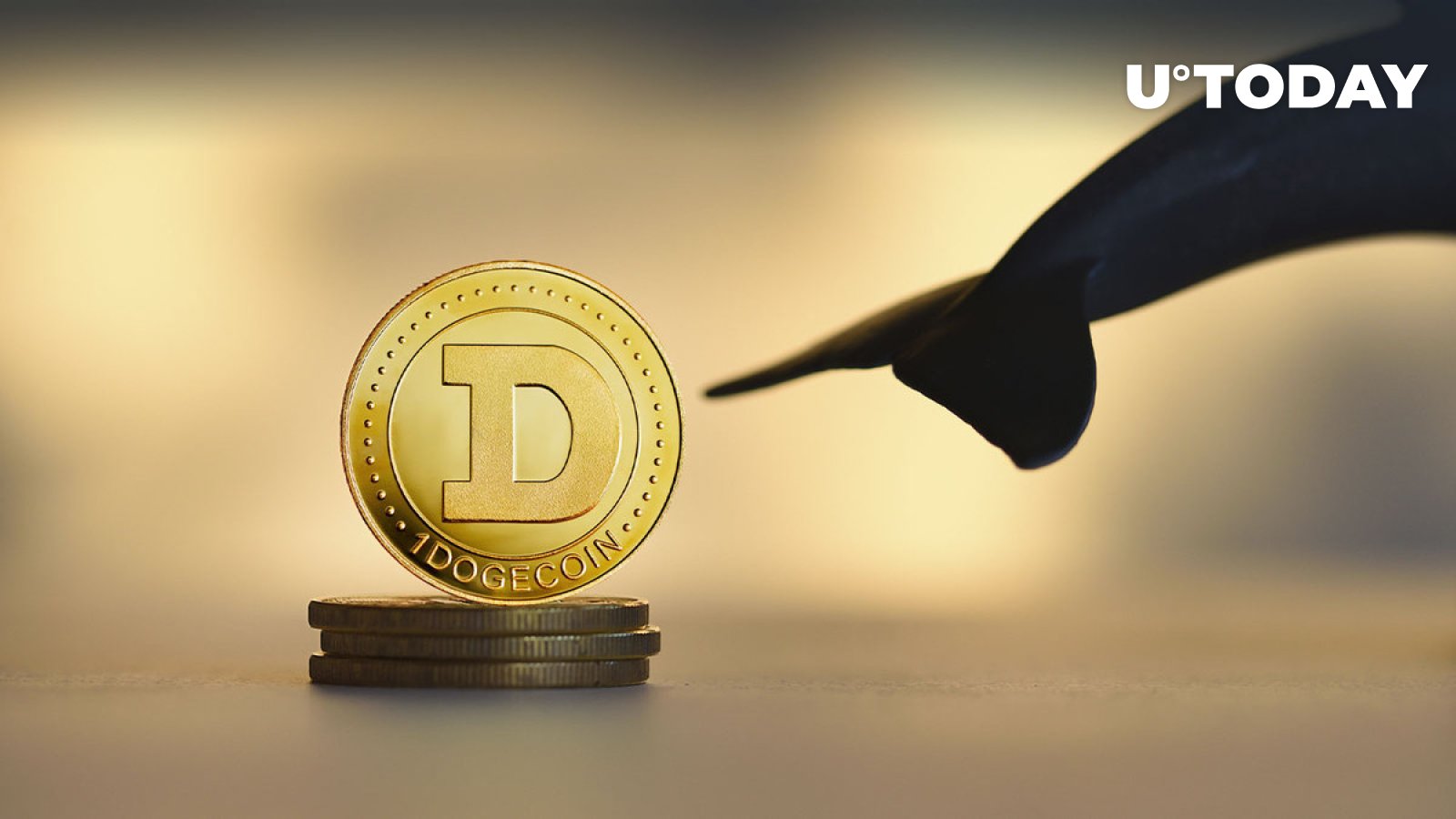 From Crypto To Corporations: Elon Musk's Shift In Focus After Dogecoin From Crypto To Corporations: Elon Musk's Shift In Focus After Dogecoin