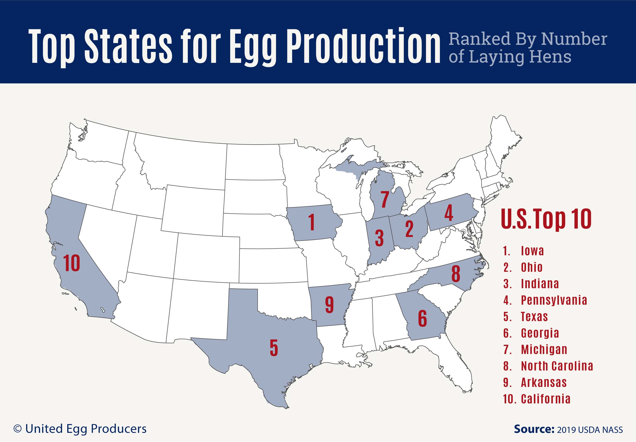 From Record Highs To $5: Understanding The U.S. Egg Price Fall From Record Highs To $5: Understanding The U.S. Egg Price Fall