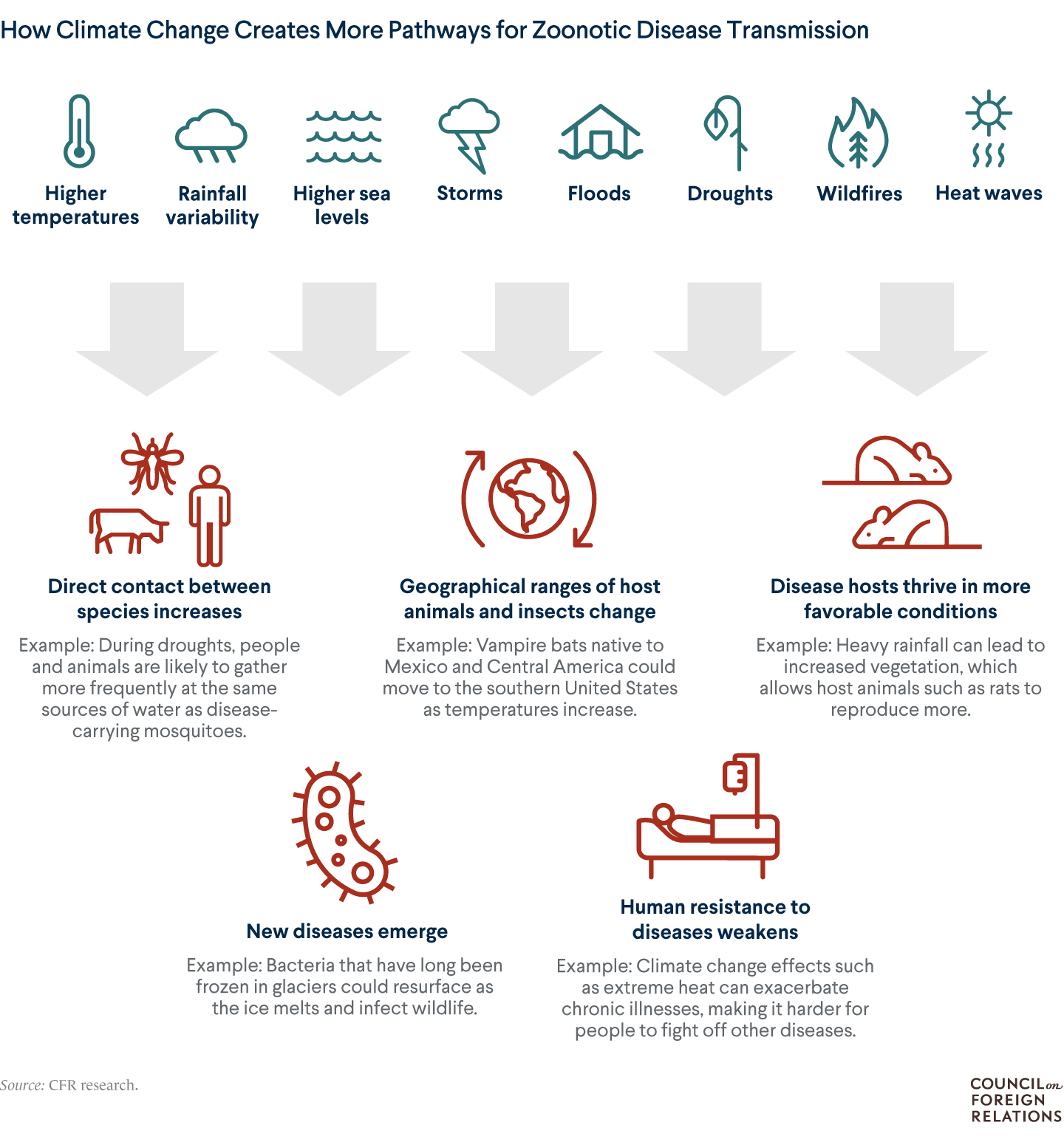 Fungal Infections: A Rising Threat In A Warming World Fungal Infections: A Rising Threat In A Warming World